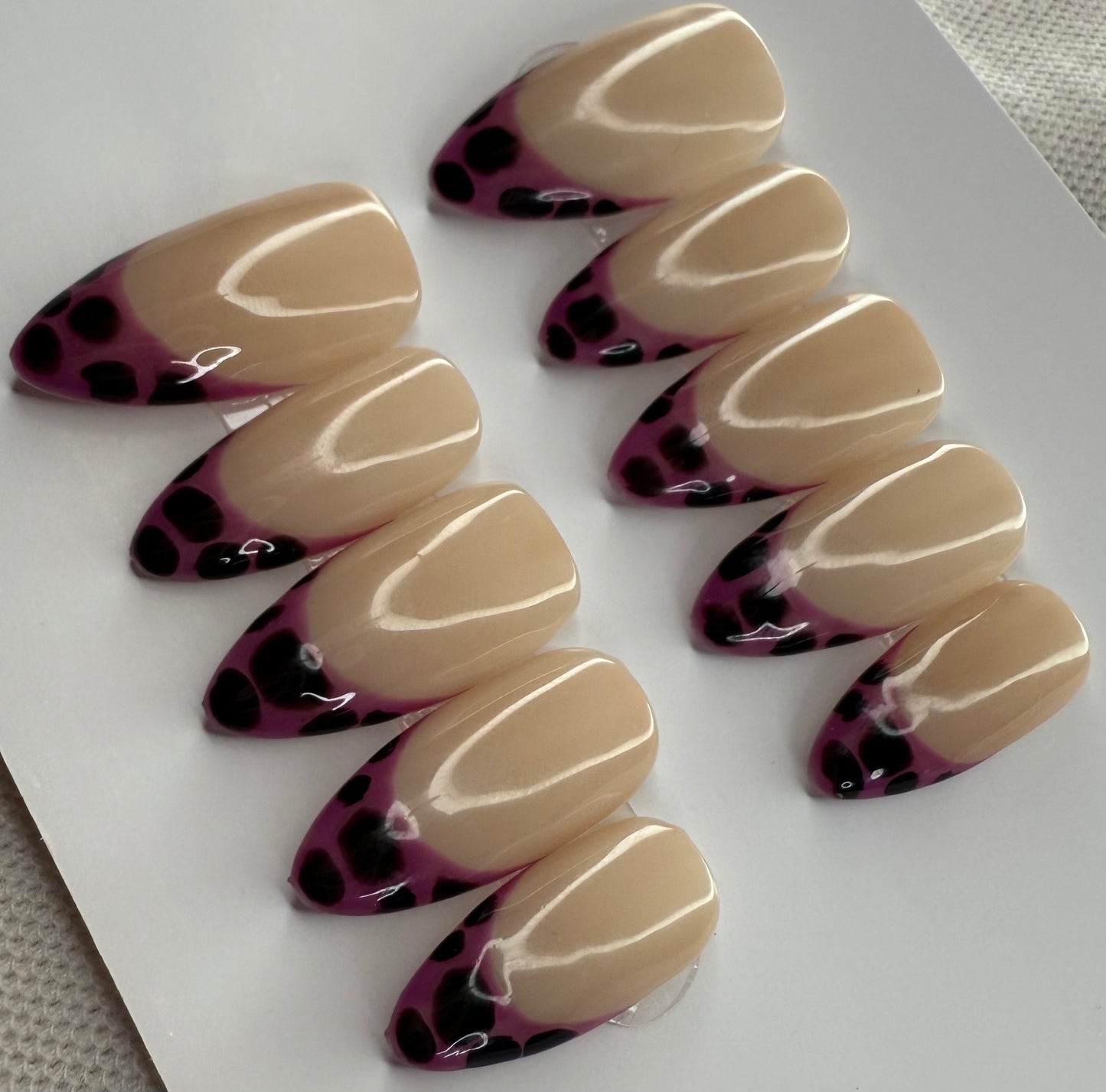 Féline Violette